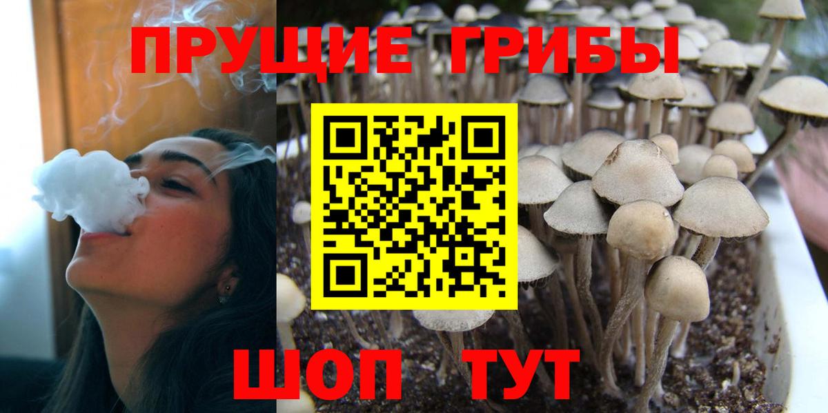 Псилоцибиновые грибы MAGIC MUSHROOMS  Вход с VPN  Псилоцибиновые грибы ЛСД  Ачинск 